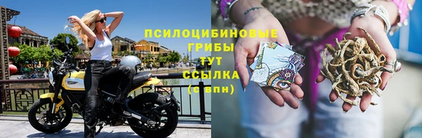 герыч Осинники